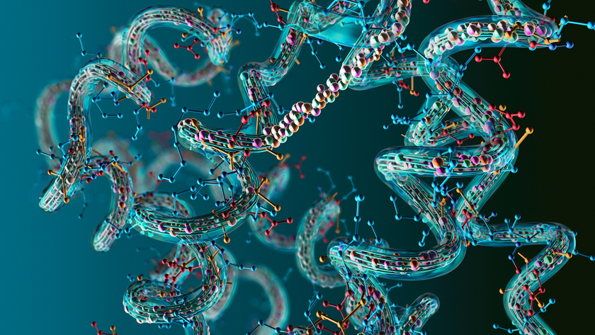 Proteins are made of strands of amino acids that fold into intricate three-dimensional shapes.