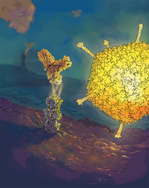 oncolytic virus