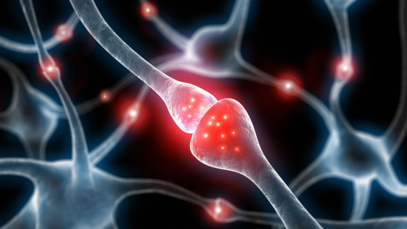 Nerve signalling helps the brain and muscles communicate to control movement