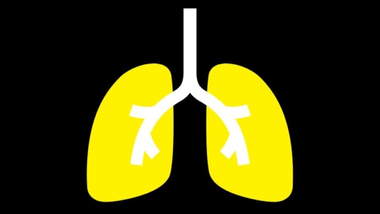 A graphic of yellow and white lungs on a black background