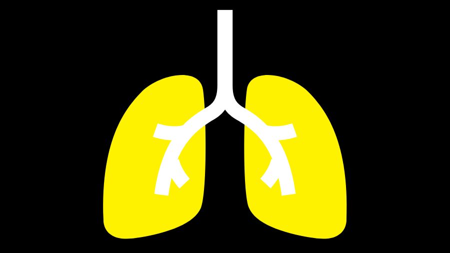 A graphic of yellow and white lungs on a black background